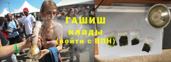 хмурый Абаза