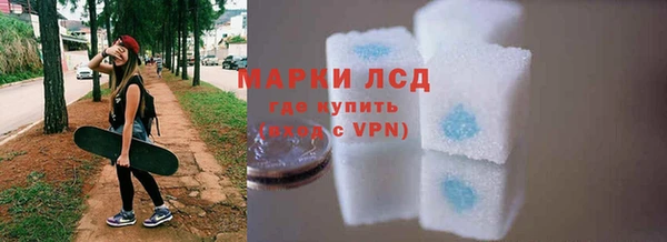 хмурый Абаза