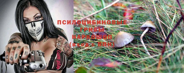 бошки Алексеевка