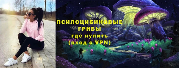МДПВ Абдулино