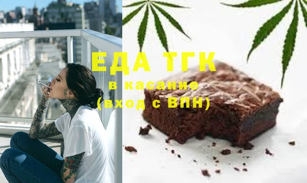 хмурый Абаза