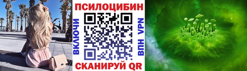 закладка  Прохладный  Псилоцибиновые грибы ЛСД 